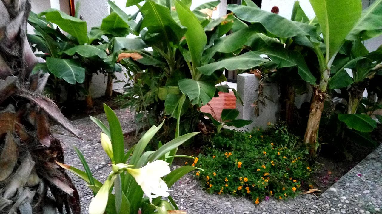 Oasis Hotel Bungalows Rhodes Afantou Luaran gambar